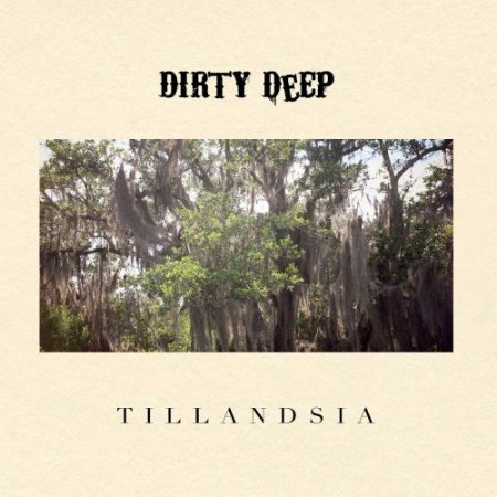 DIRTY DEEP - TILLANDSIA 2018