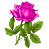 76b86331 (160x160, 33Kb)